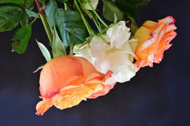 Siyah arka planda güzel bir buket gül çiçeği.