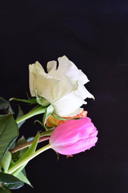 Siyah bir zemin üzerine gül çiçek