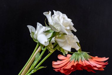 Koyu arkaplanda güzel çiçeklerin manzarasını kapat