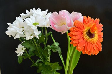 Gerbera, lale ve kasımpatı çiçekleri siyah arkaplanda 