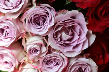 Çiçek arkaplanı olarak güzel bir buket gül