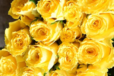 Çiçek arkaplanı olarak güzel bir buket gül