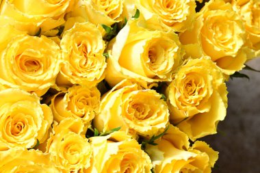 Çiçek arkaplanı olarak güzel bir buket gül