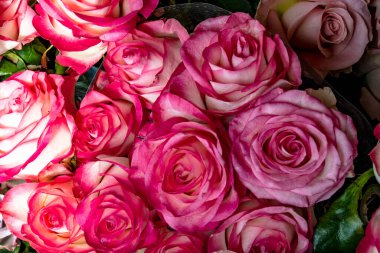 Güzel gül buketi arka planı, kapat. 