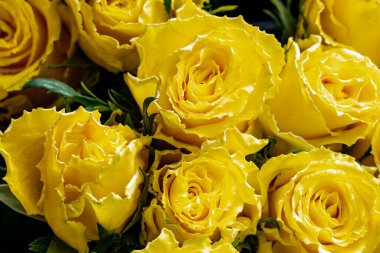 Güzel gül buketi arka planı, kapat. 