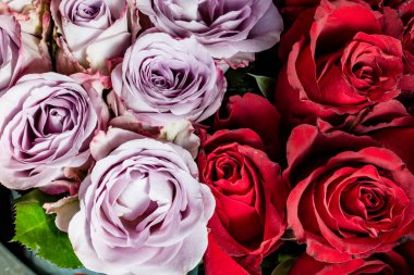 Güzel gül buketi arka planı, kapat. 