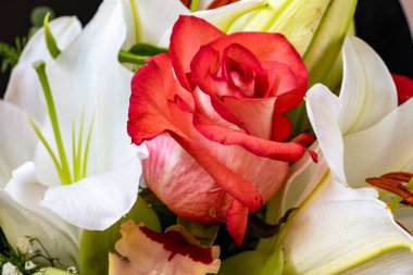 Güzel buket çiçek, görünümü kapatın 