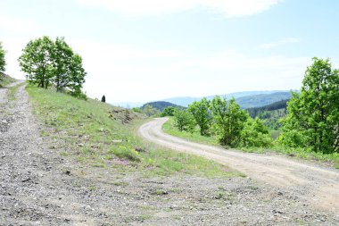Yazın dağların arasında yol.