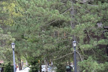 Yaz aylarında Şehir Parkı