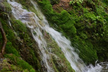 Ormanda şelale doğa manzarası  