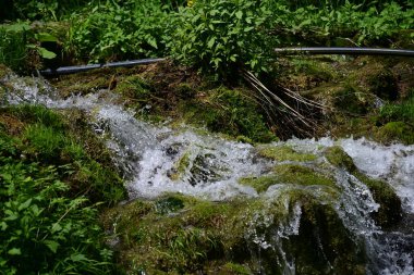 Ormanda şelale doğa manzarası  