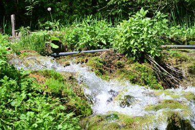 Ormanda şelale doğa manzarası 