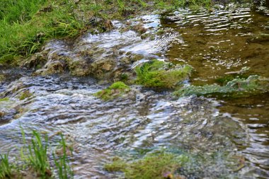 Ormanda şelale doğa manzarası 
