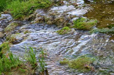 Ormanda şelale doğa manzarası 