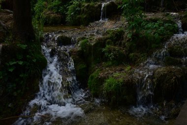 Ormanda şelale doğa manzarası 