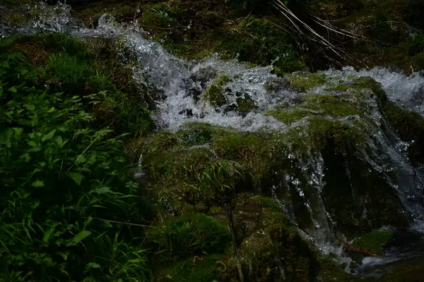 Ormanda şelale doğa manzarası  