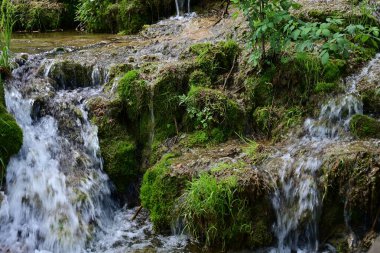 Ormanda şelale doğa manzarası 