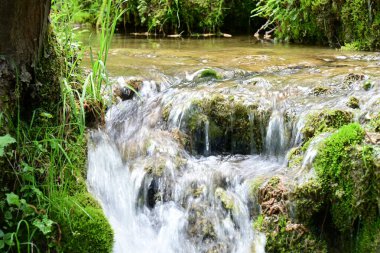 Ormanda şelale doğa manzarası 