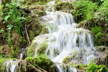Ormanda şelale doğa manzarası 