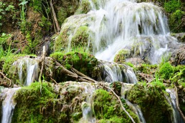 Ormanda şelale doğa manzarası 