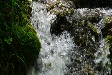 Ormanda şelale doğa manzarası 