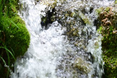 Ormanda şelale doğa manzarası 