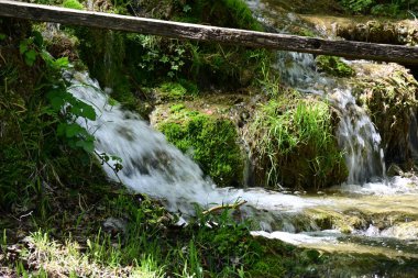 Ormanda şelale doğa manzarası 