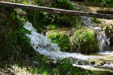 Ormanda şelale doğa manzarası 