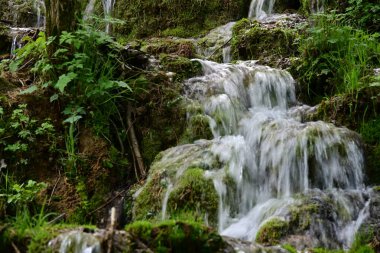 Ormanda şelale doğa manzarası 
