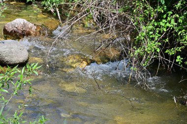 Ormanda şelale doğa manzarası 