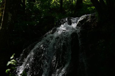 Ormanda şelale doğa manzarası 