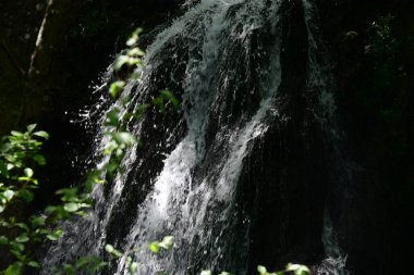 Ormanda şelale doğa manzarası 