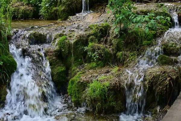 Ormanda şelale doğa manzarası 