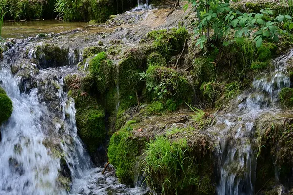 Ormanda şelale doğa manzarası 