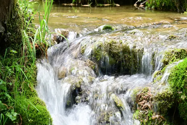 Ormanda şelale doğa manzarası 