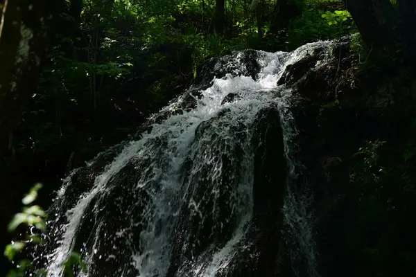 Ormanda şelale doğa manzarası 