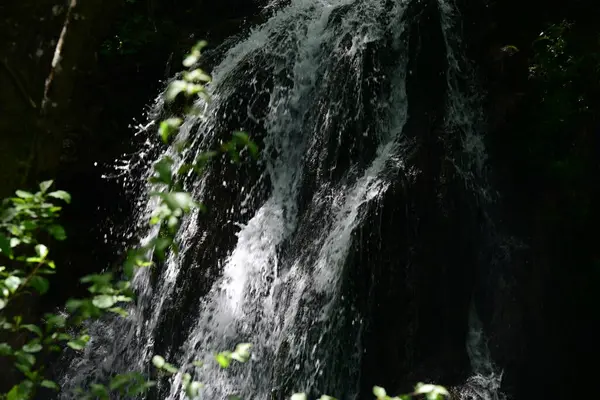 Ormanda şelale doğa manzarası 