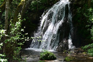 Ormanda şelale doğa manzarası 