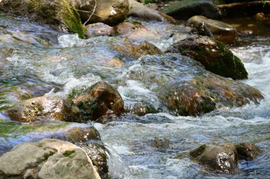 Yükselen yeşil ağaçların arasında huzurlu bir şelale..
