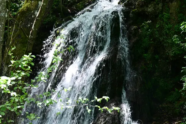 Ormanda şelale doğa manzarası 