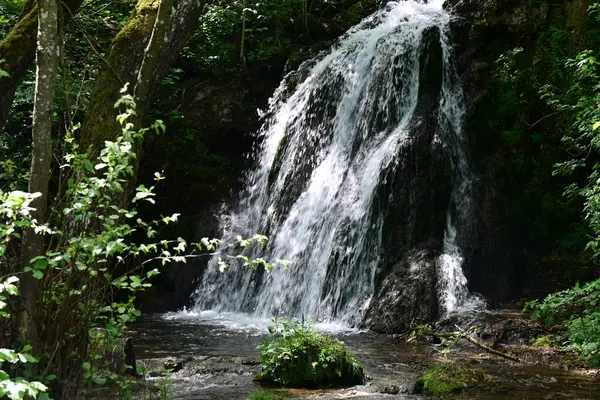 Ormanda şelale doğa manzarası 