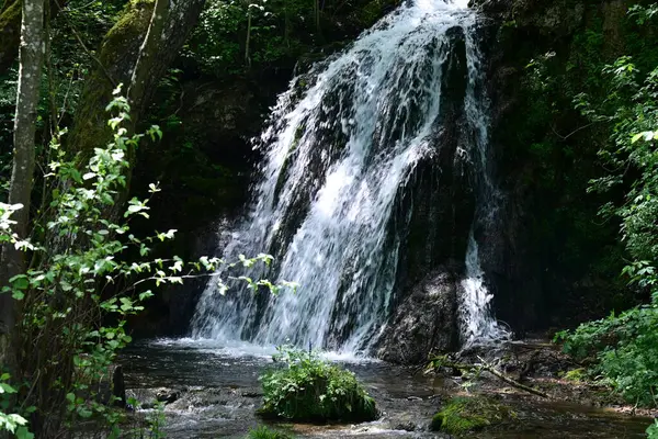 Ormanda şelale doğa manzarası 