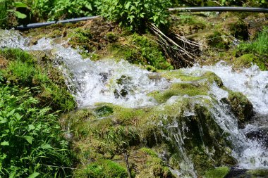 Yeşil ormanda akan küçük şelale