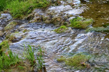 Bir orman şelalesi bir dağ ortamında usulca akıyor..