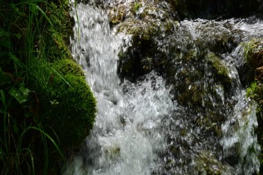 Yeşil ormanda akan küçük şelale