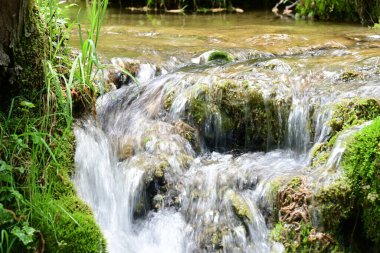 A modest cascade in a vibrant forest under a mountain backdrop.