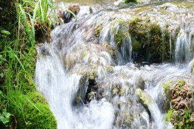 A modest cascade in a vibrant forest under a mountain backdrop.