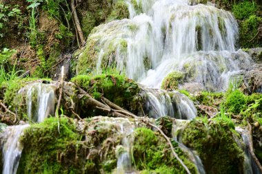 A small stream tumbling down amidst forest greenery and alpine terrain.