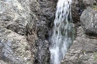 Dağlardaki yemyeşil bir ormandan akan küçük bir çağlayan..