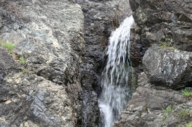 Dağ manzaralı, yemyeşil bir ormana kurulmuş yumuşak bir şelale..